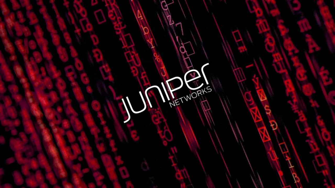 Juniper_headpic